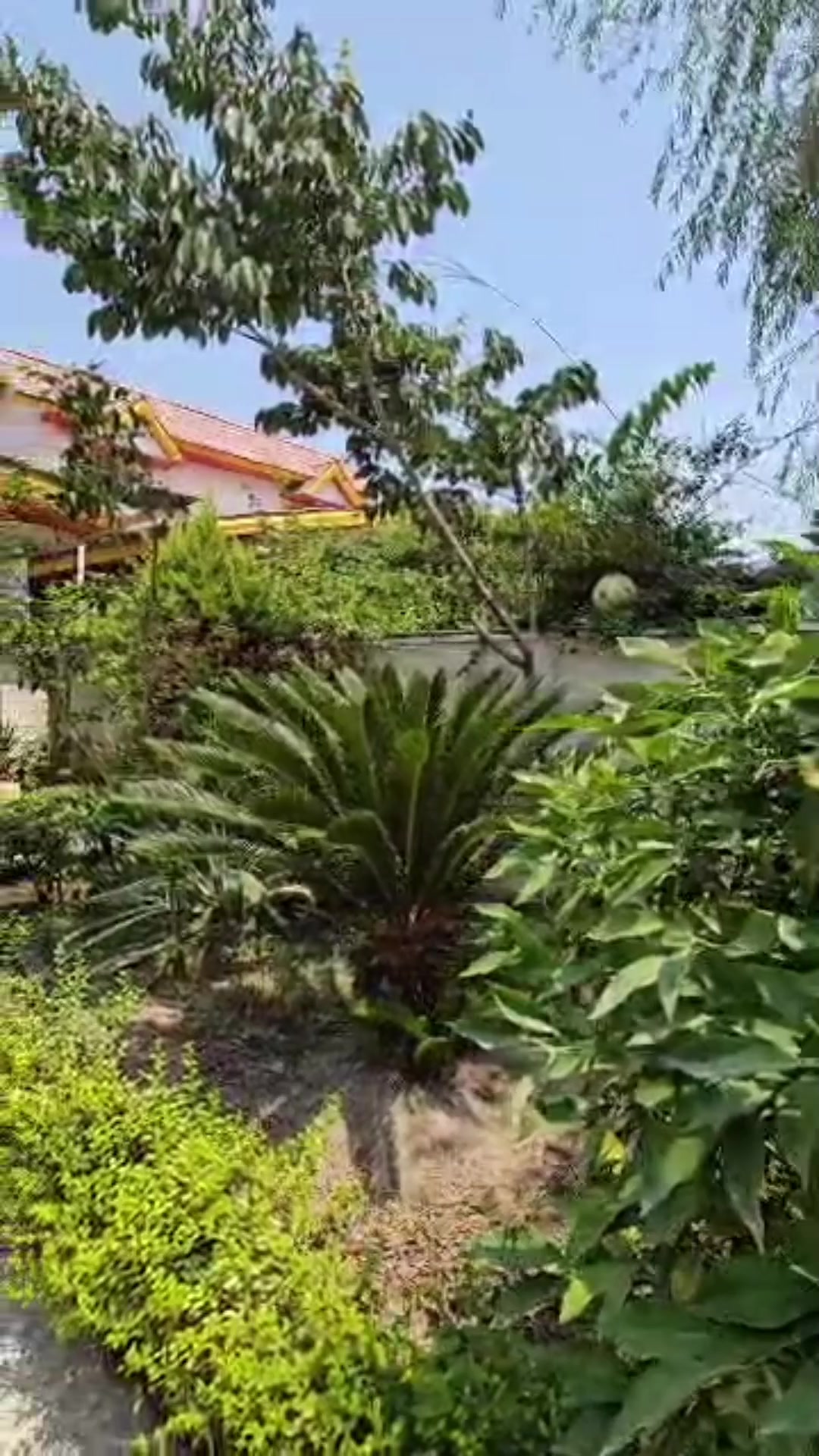 ویلا دوبلکس 244 متری حیاط دار دل نشین در شیپور