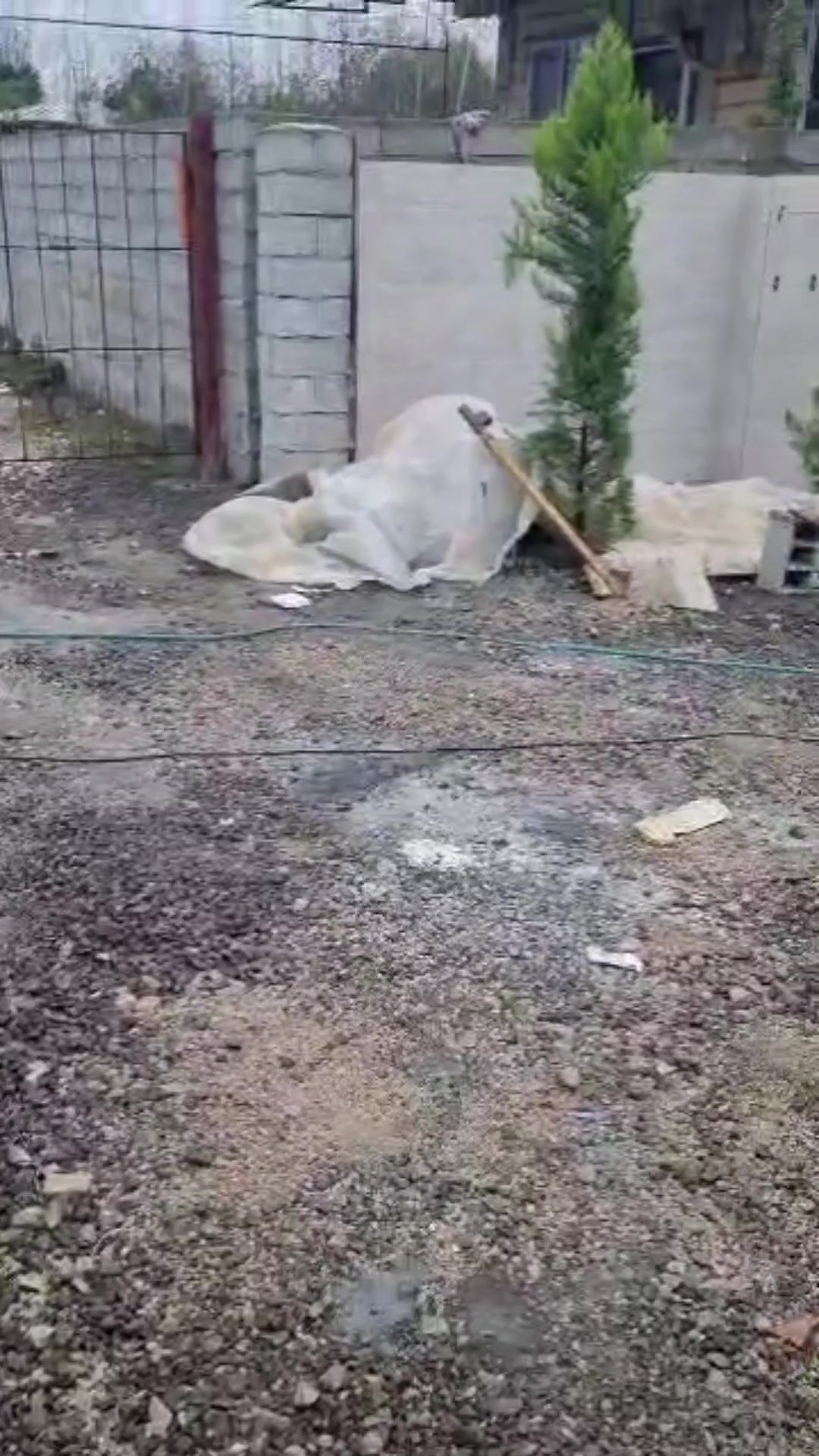 فروش ویلا 500 متر در داخل شهر در شیپور