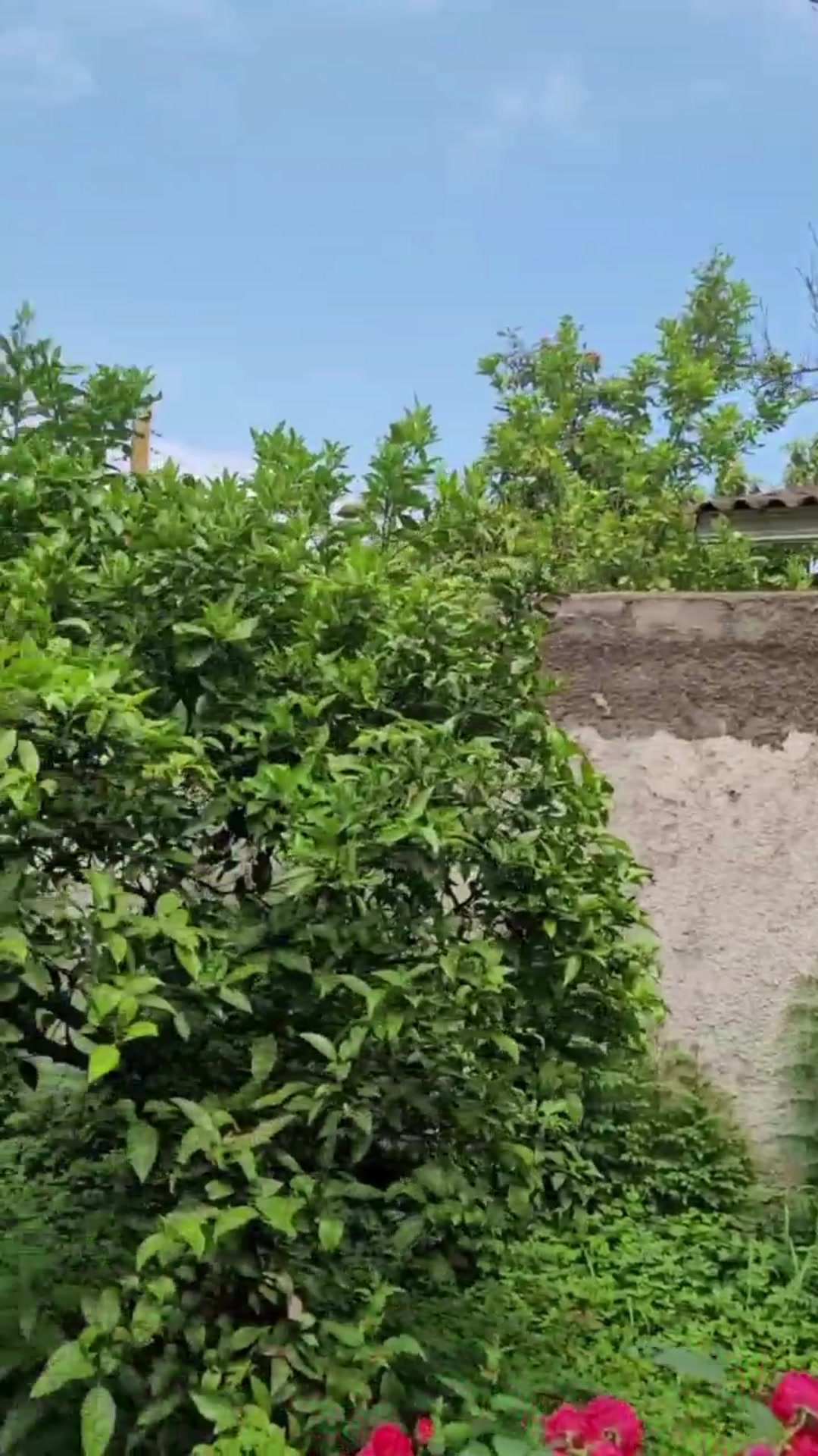 فروش ویلا 677 متر در کردآباد در شیپور