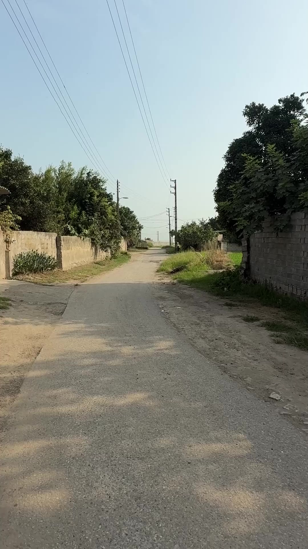 آپارتمان یکجا زیر قیمت کمانگرکلا