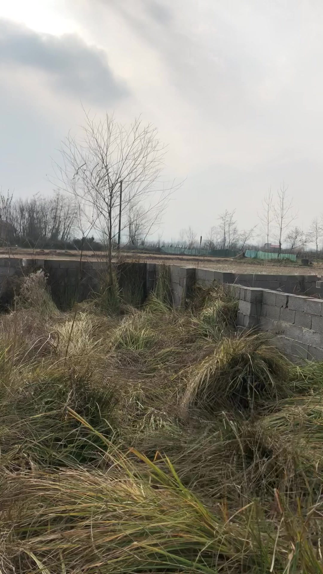 300 متر زمین مسکونی سرمایه گزاری در شیپور