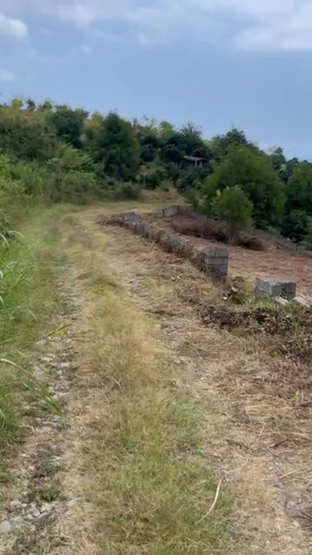 فروش 2000 متر زمین در خشکرود سلیمان آباد در شیپور