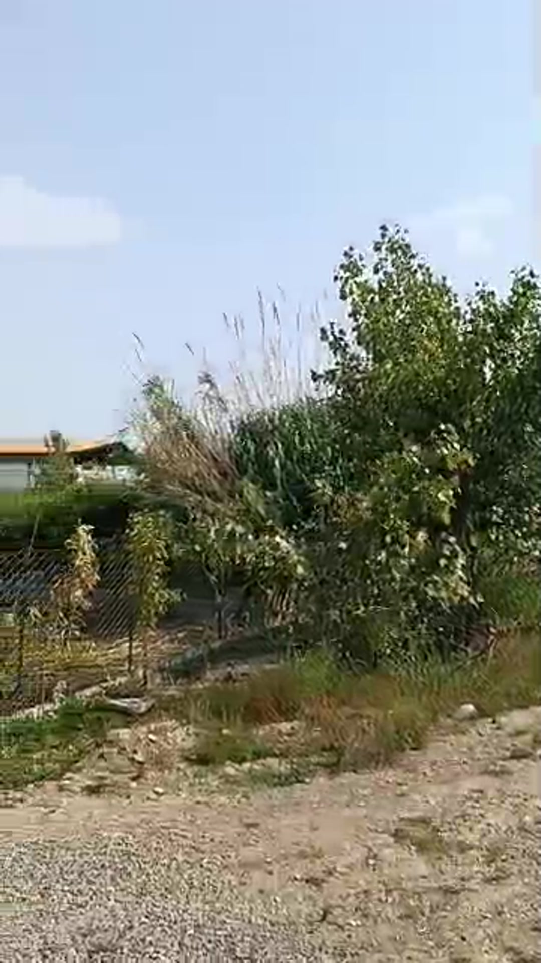 زمین های شهرکی 200متربه بالا بدون واسطه اقساطی