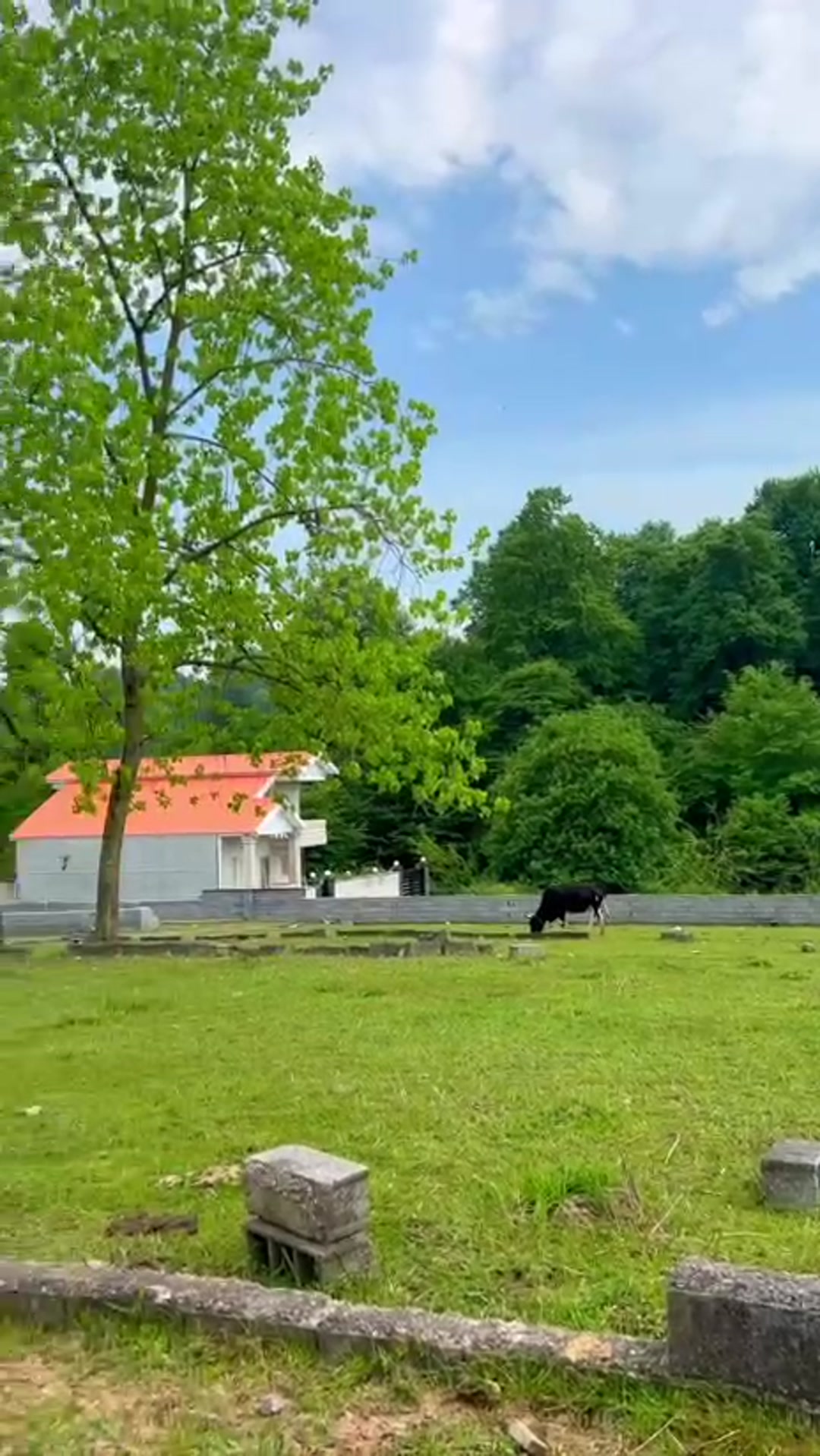 350متر زمین پلاک1جنگل سندوجواز ساخت منطقه دنج