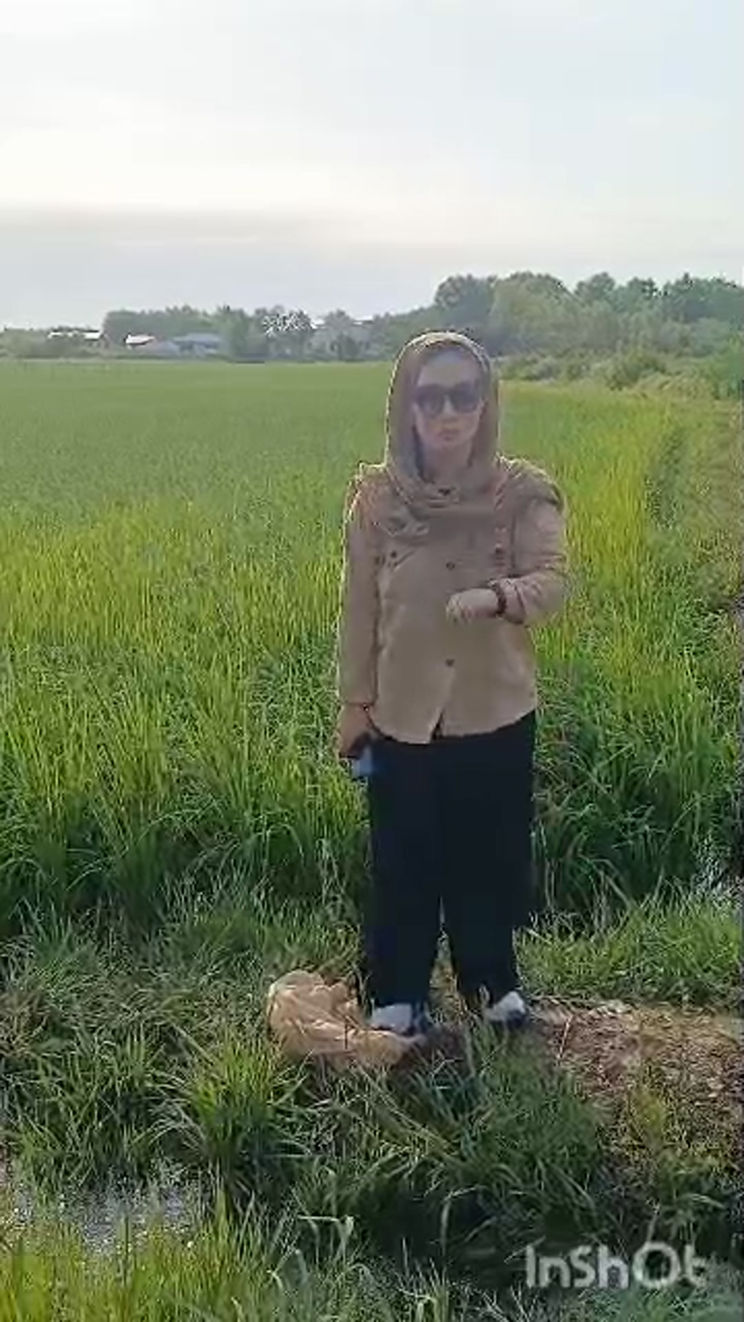 فروش زمین کشاورزی 5000 متر در جاده طارمسر