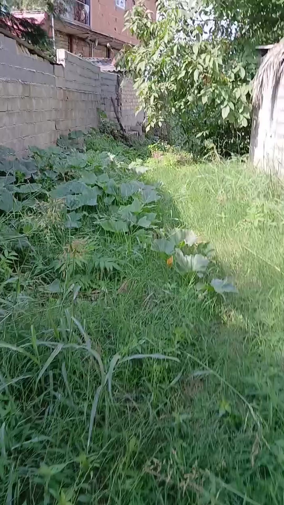 فروش زمین مسکونی قابلیت تجاری هم دارد230 مترساری ارم