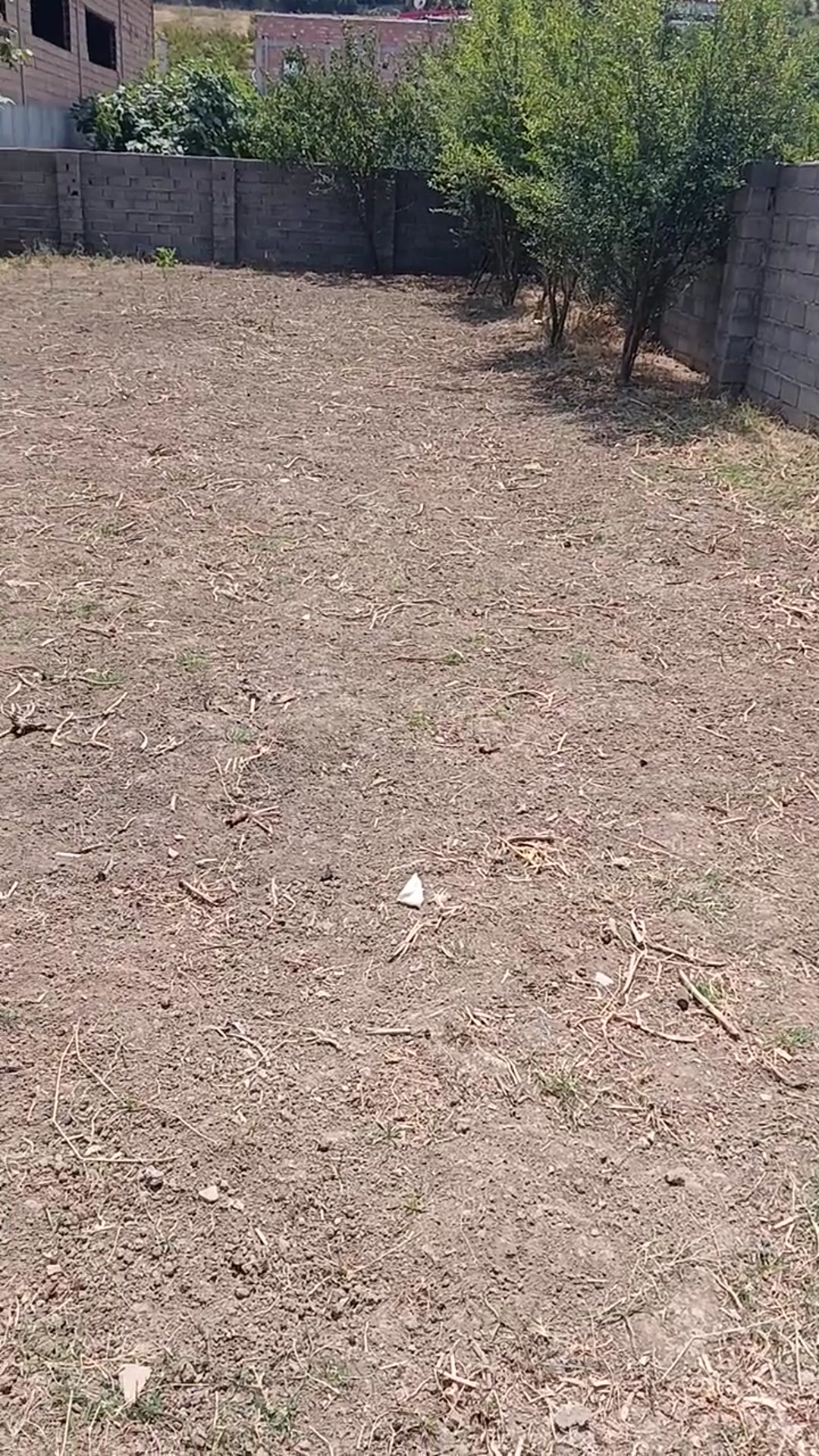 فروش زمین مسکونی220مترویو عالی ساری میاندروداسرم