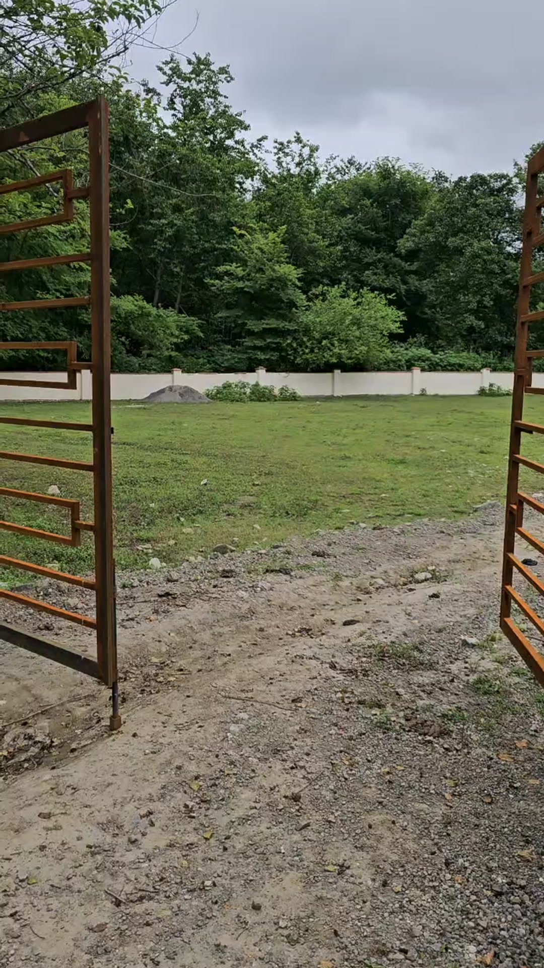 فروش زمین پلاک یک جنگل مسکونی 1400 متر در پارک جنگلی نور