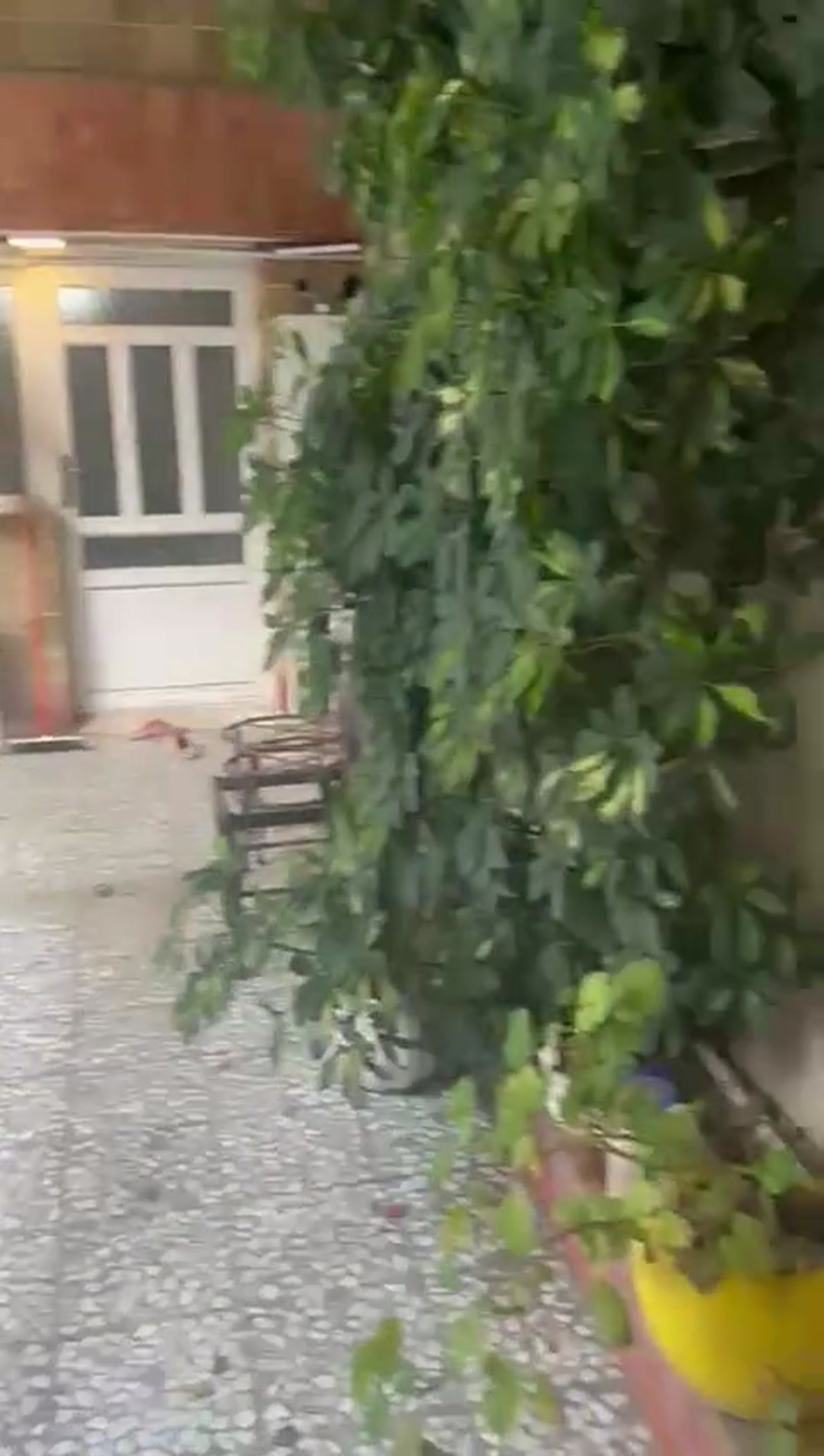 ویلایی 250 متری در خیابان هراز اکازیون دوبلکس فول امکانات