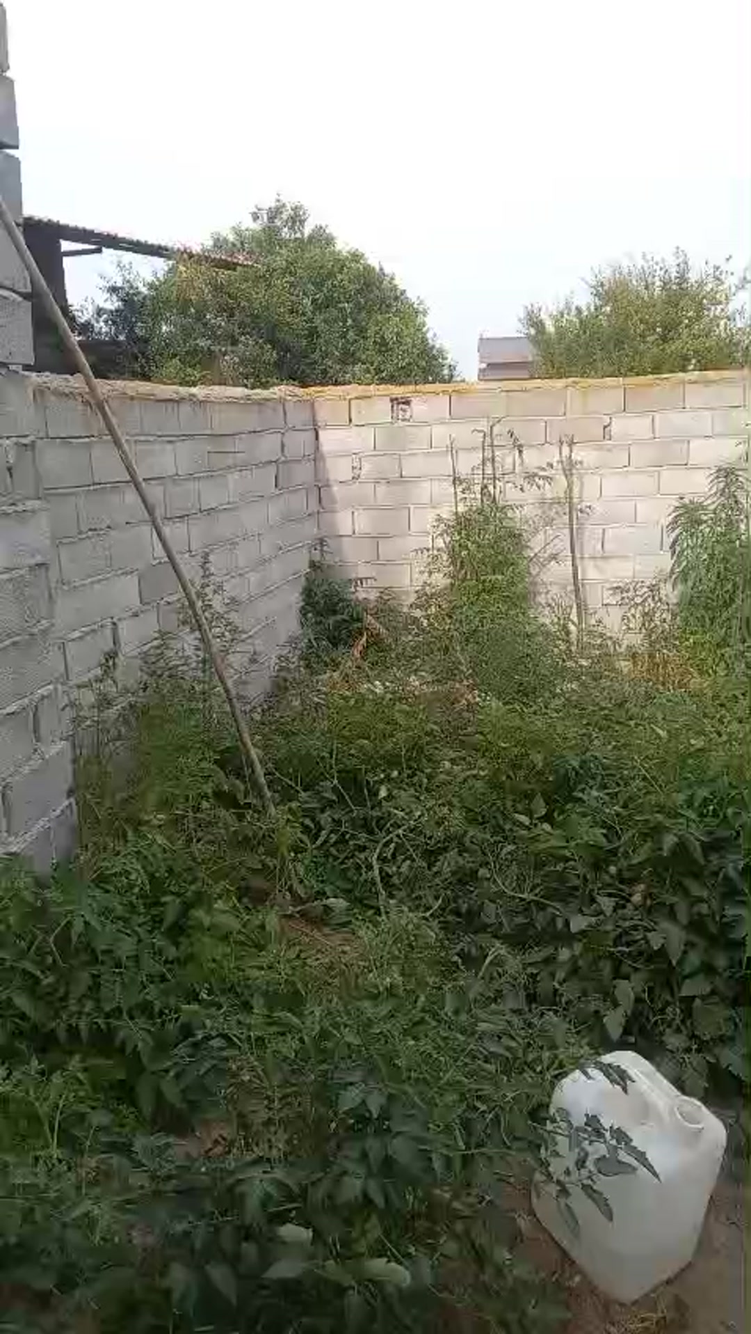 زمین مسکونی 225 متر درجاده پلاژ