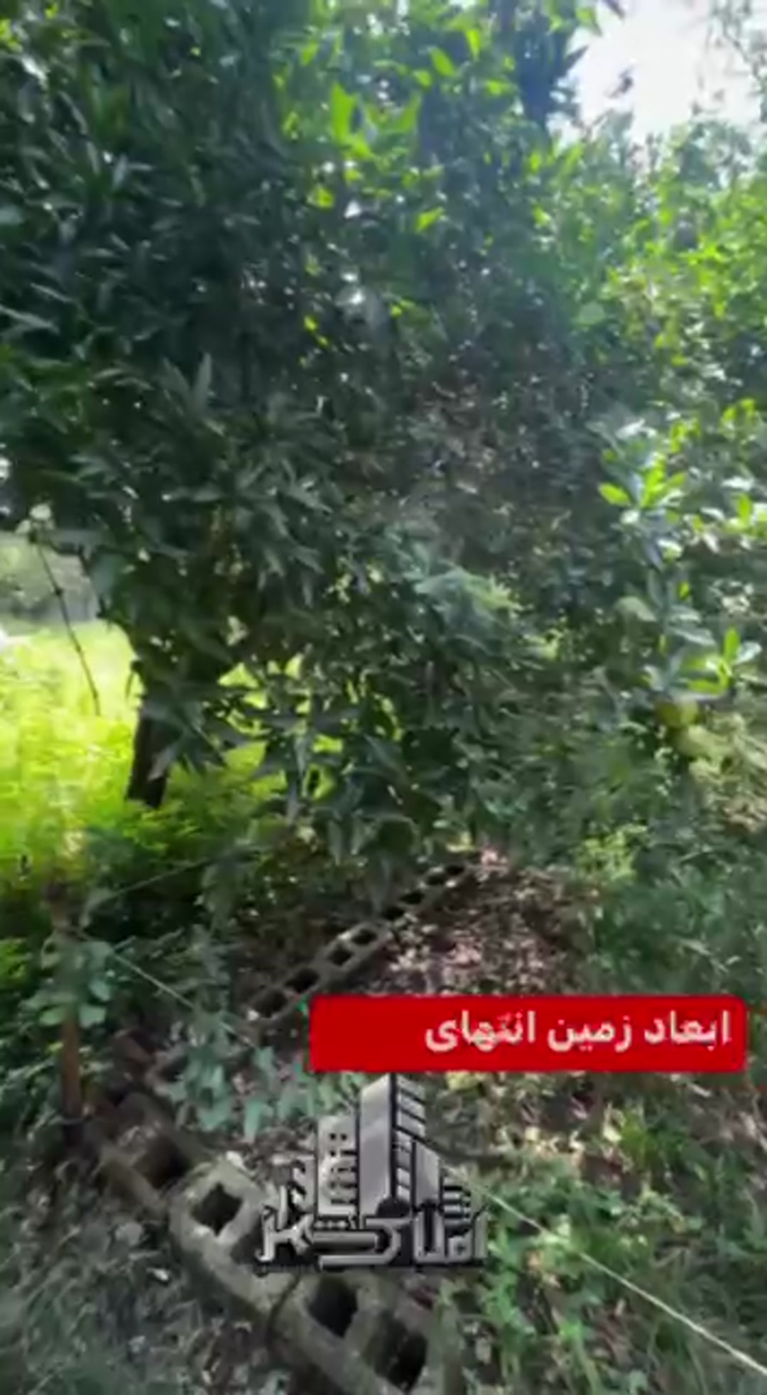 216 متر زمین مسکونی/ سند/ در کومله