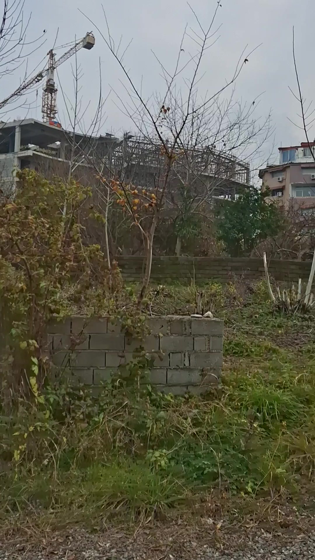 زمین مسکونی ساحلی 259 متر زیر قیمت در شیپور