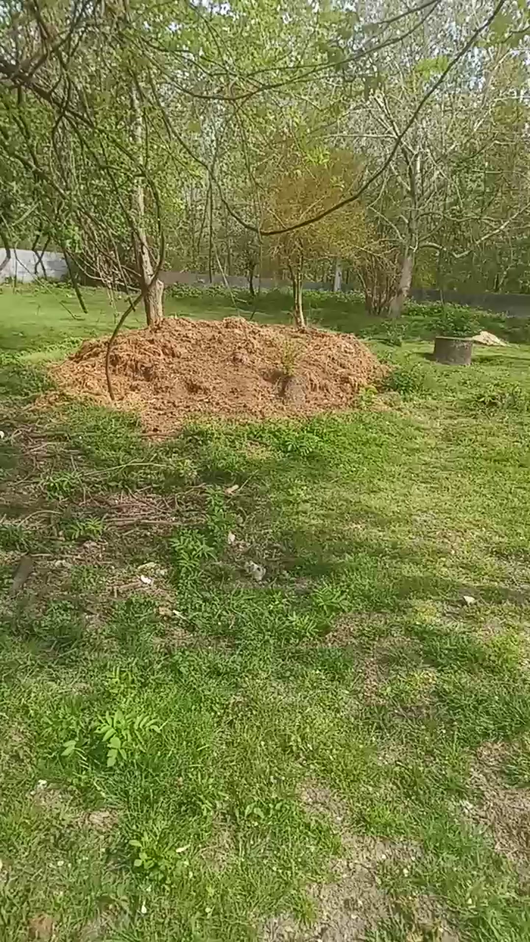 فروش زمین مسکونی 500 متر در سروندان