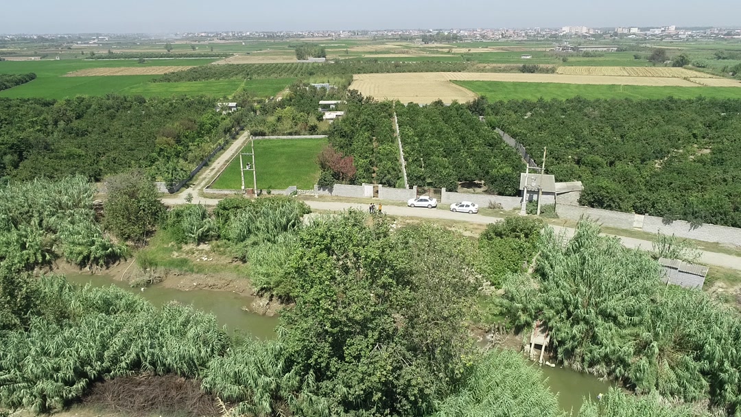 باغ پرتغال و نارنگی 1500 متر در بهنمیر