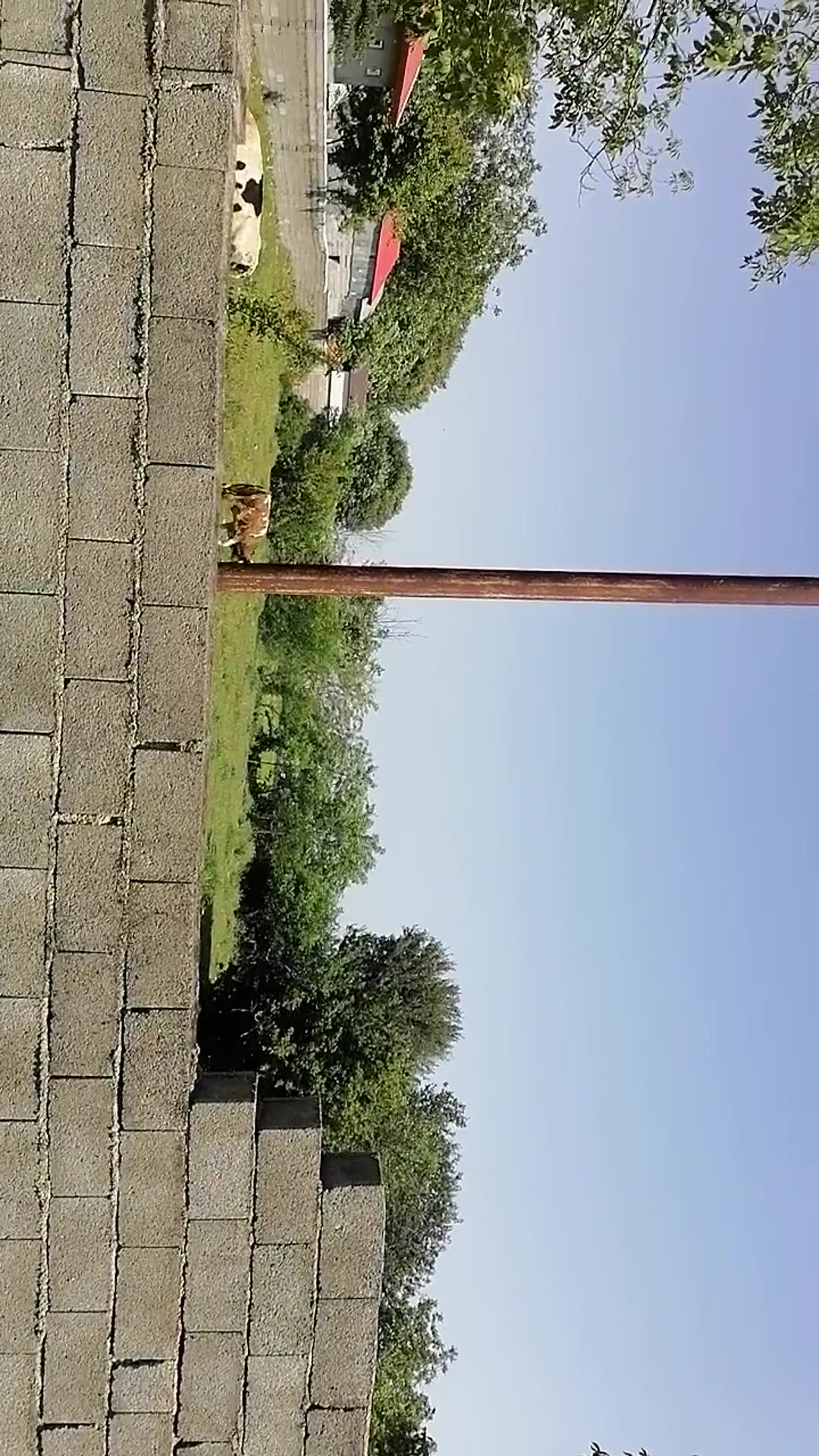 2300 متر زمین مسکونی با سند تک برگ شش دانگ پونل در شیپور