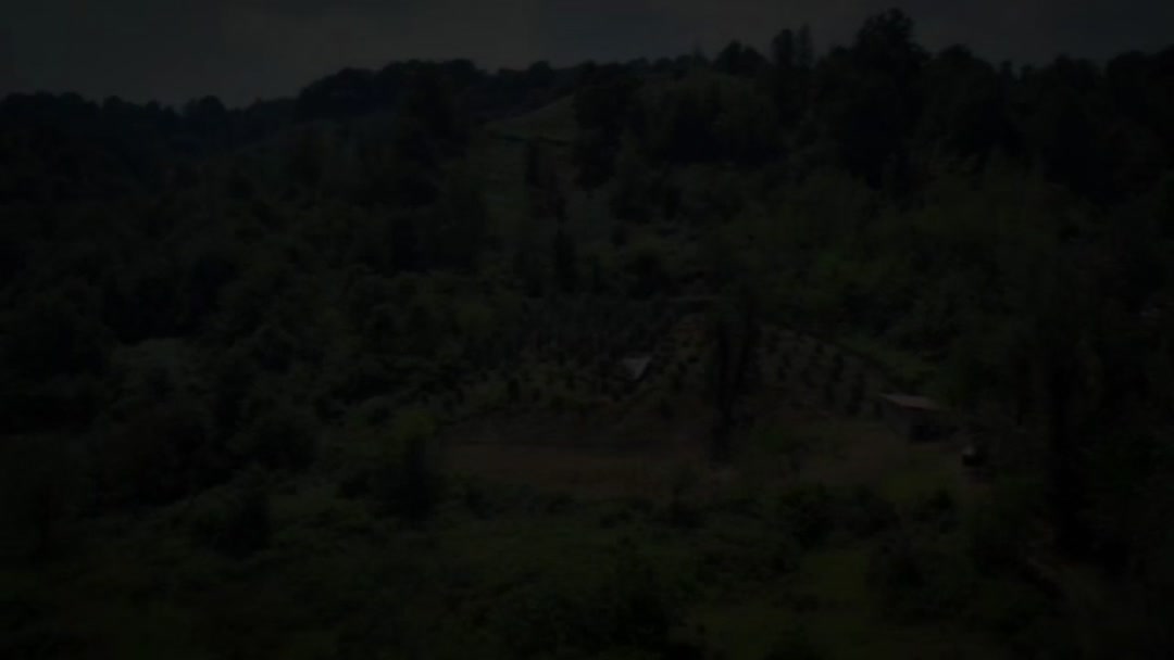 فروش زمین 4016 متری ویو دار باغ میوه در آزارستانکی در شیپور