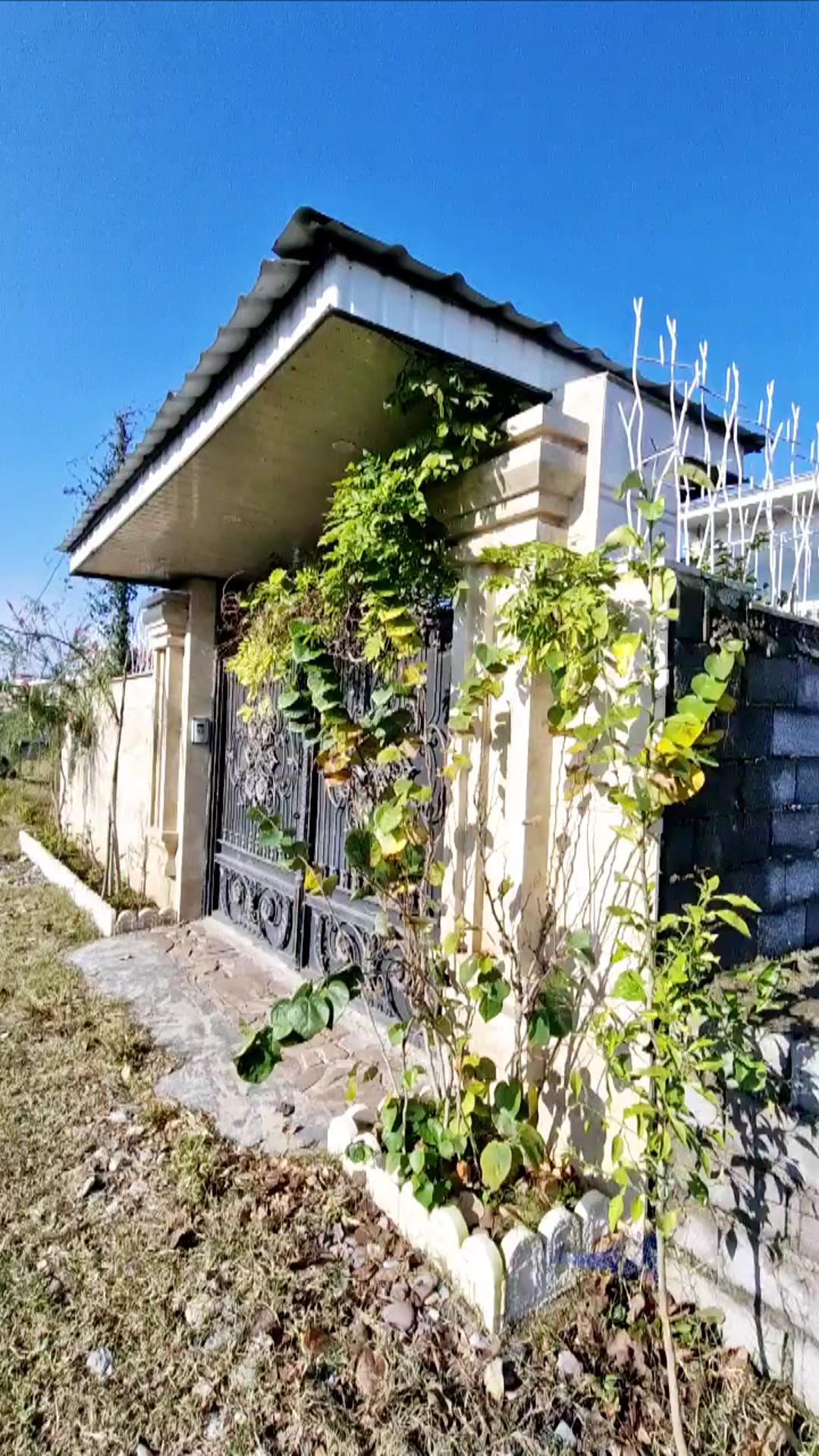 فروش زمین مسکونی 215 متر در چاف و چمخاله در شیپور