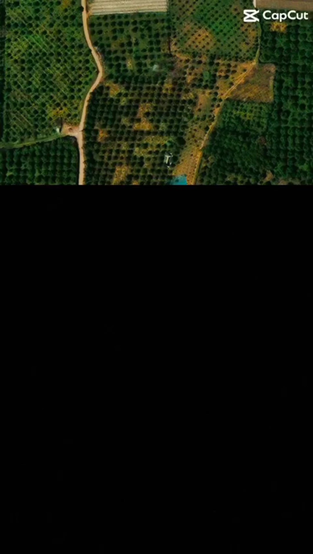 180 متر باغچه‌ نقلی جاده‌کیاکلا در شیپور