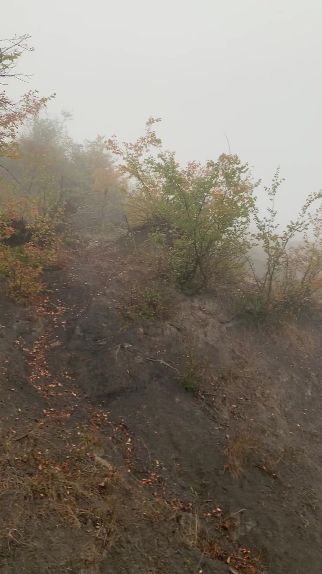 1,700 متری ویو ابدی چسبیده بافت رضی در شیپور