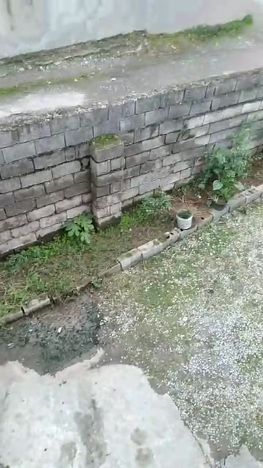 اجاره ویلا 190 متر در مرزانکلا در شیپور