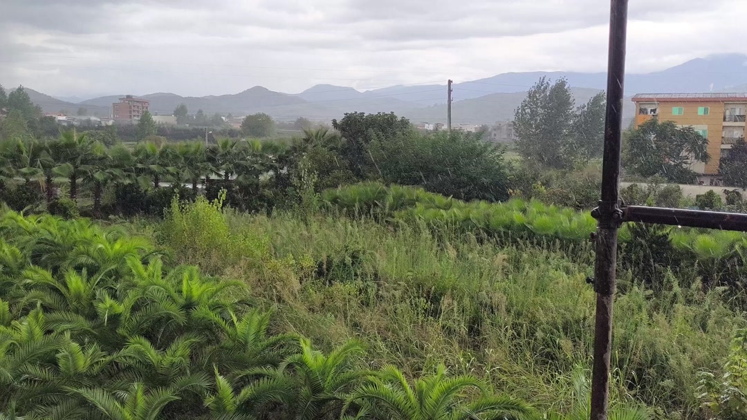 فروش زمین 200 متر ویودریاچه جنگل