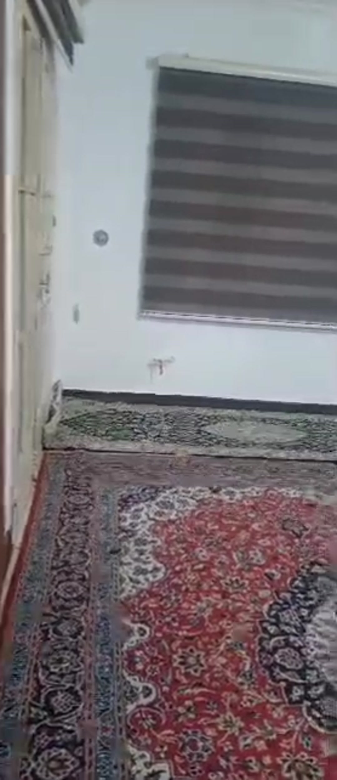 اجاره آپارتمان 70 متر در وازیوار مبله/ کد 4257(سالار) در شیپور