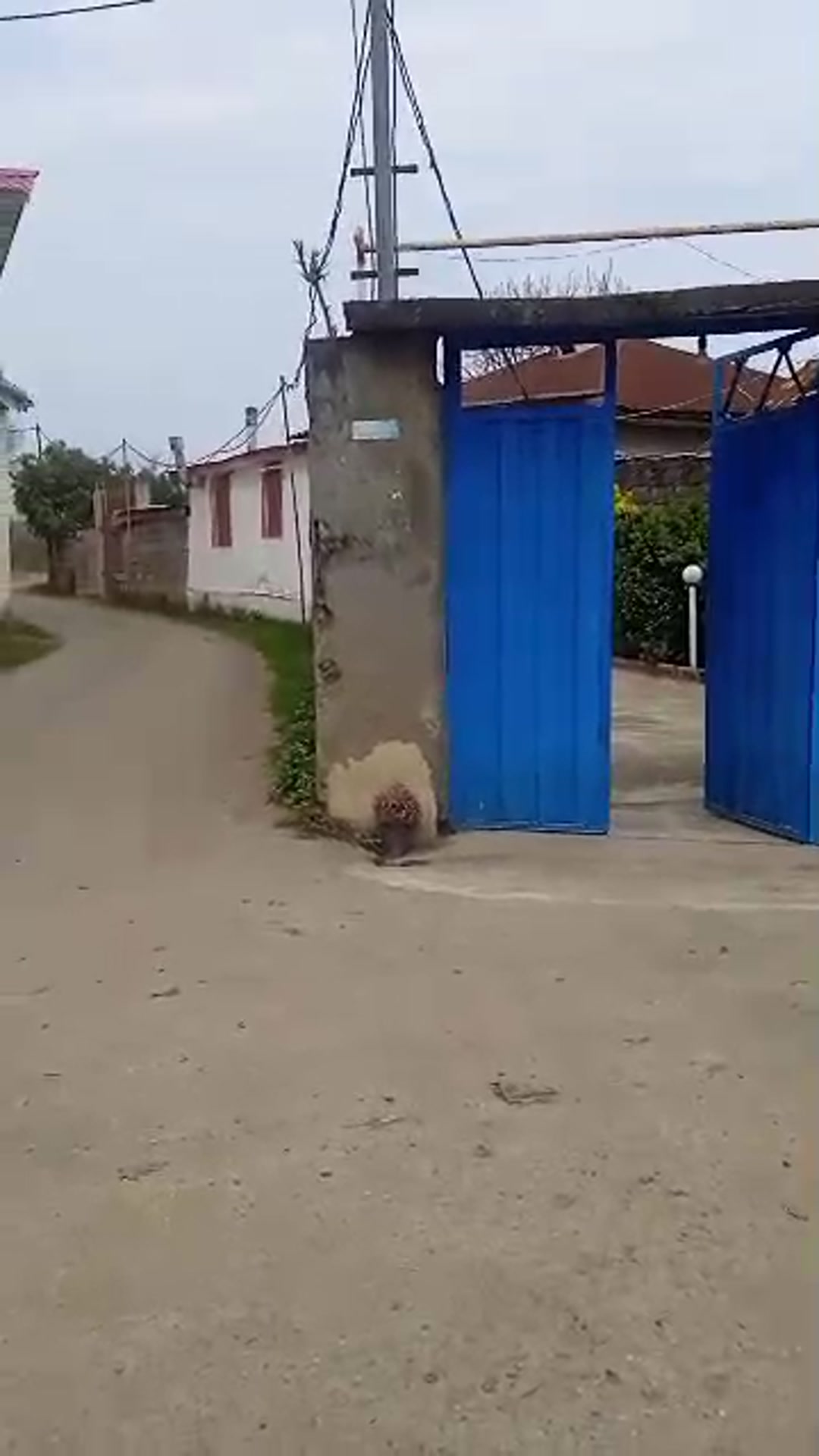 خانه ویلایی 370 متری در هادی کیاشهر در شیپور