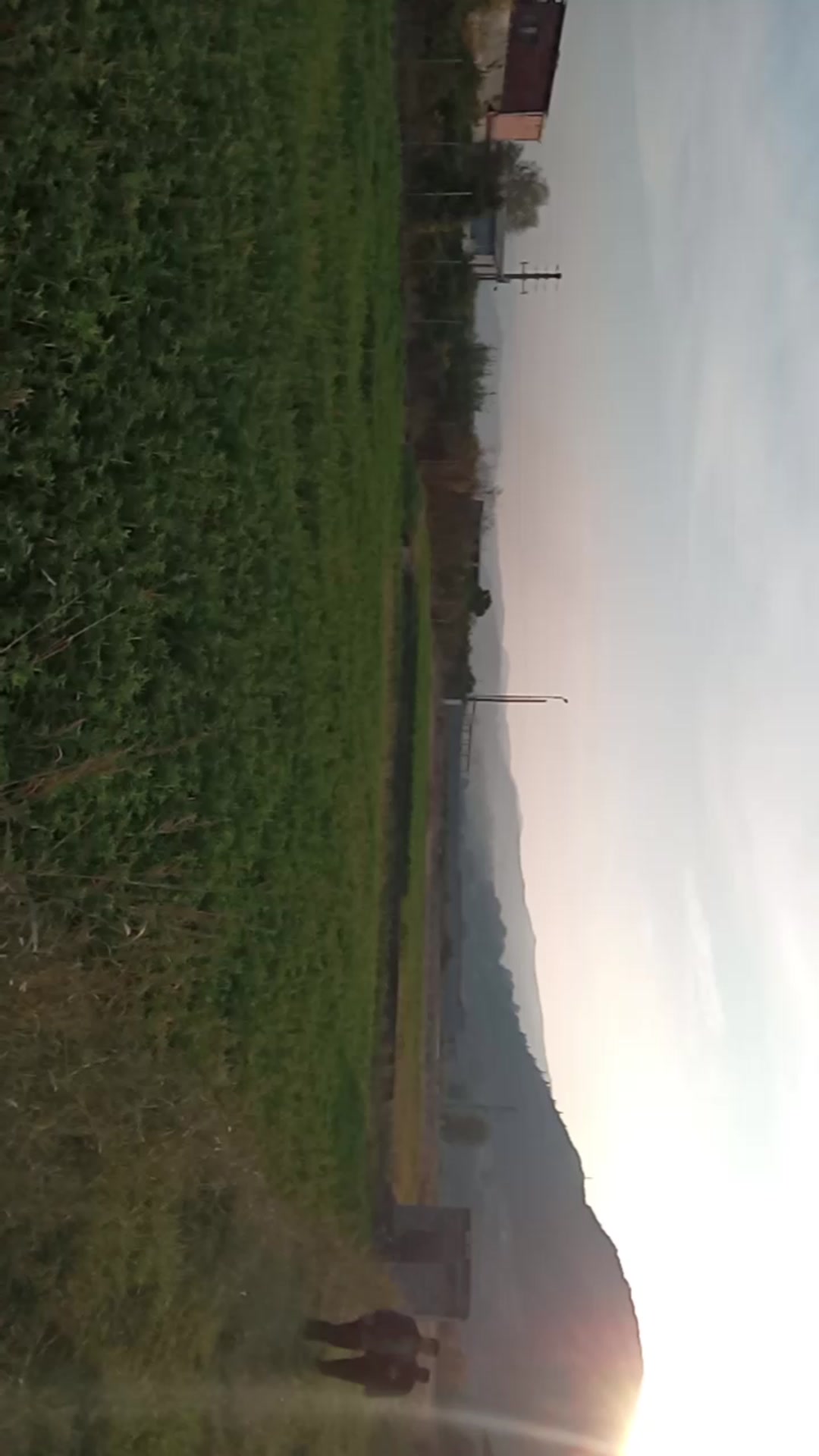 فروش زمین 1250 در شیپور