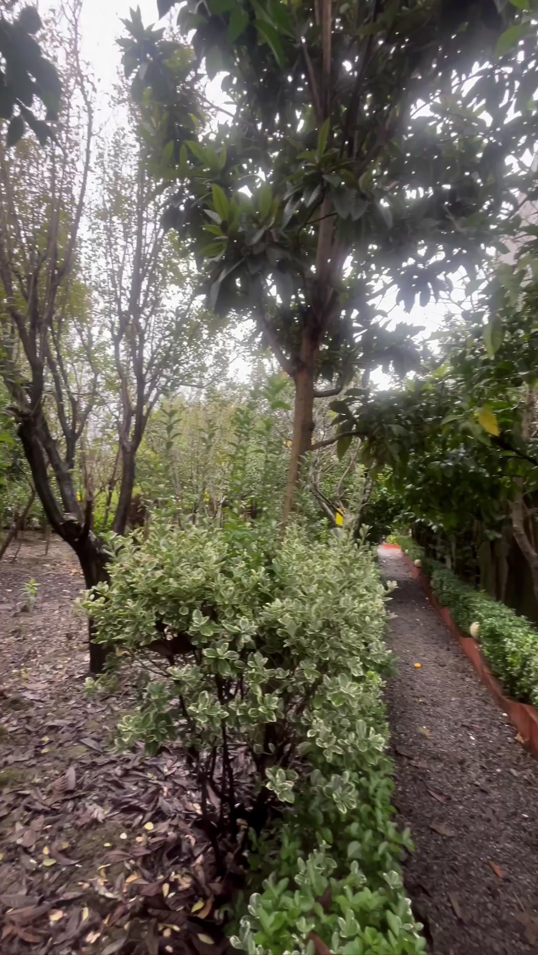 ویلا باغ بهشتی 900متری * مالک پول لازم *اقساط 15ماهه