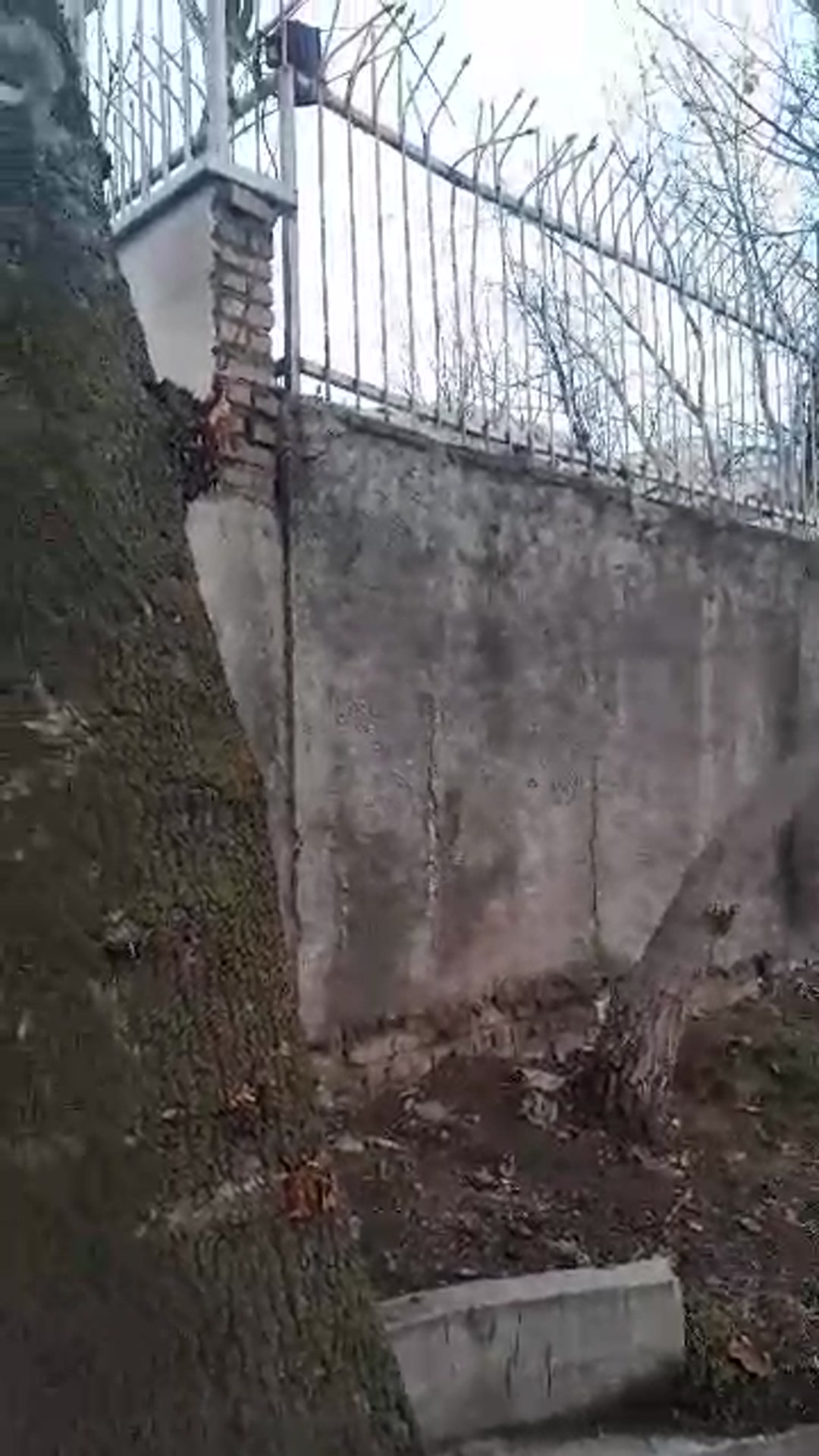 فروش زمین مسکونی 2000 متر در لواسان در شیپور