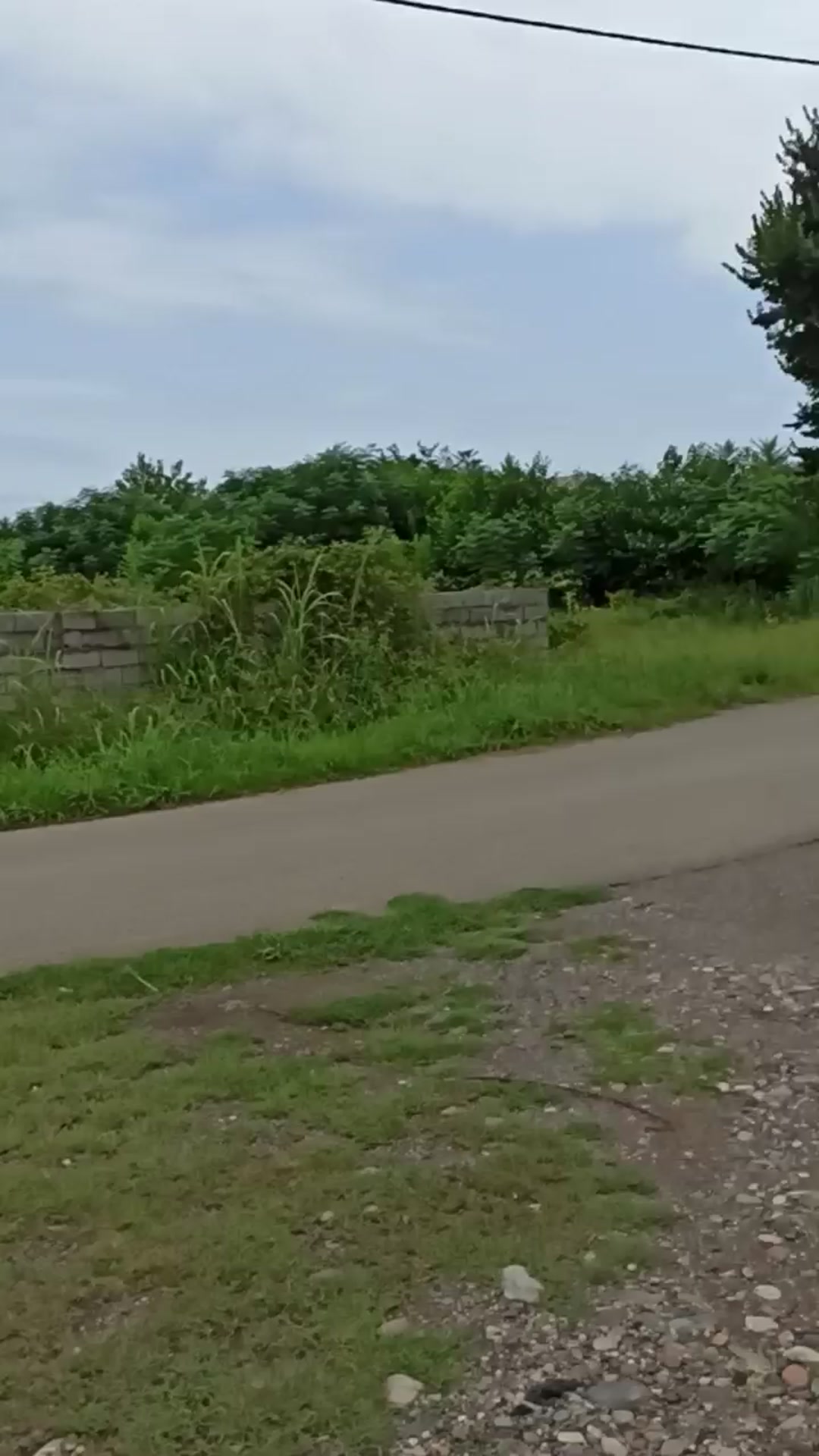 زمین 740 متر باغی داخل طرح در لیمنجوب سند تک برگ در شیپور