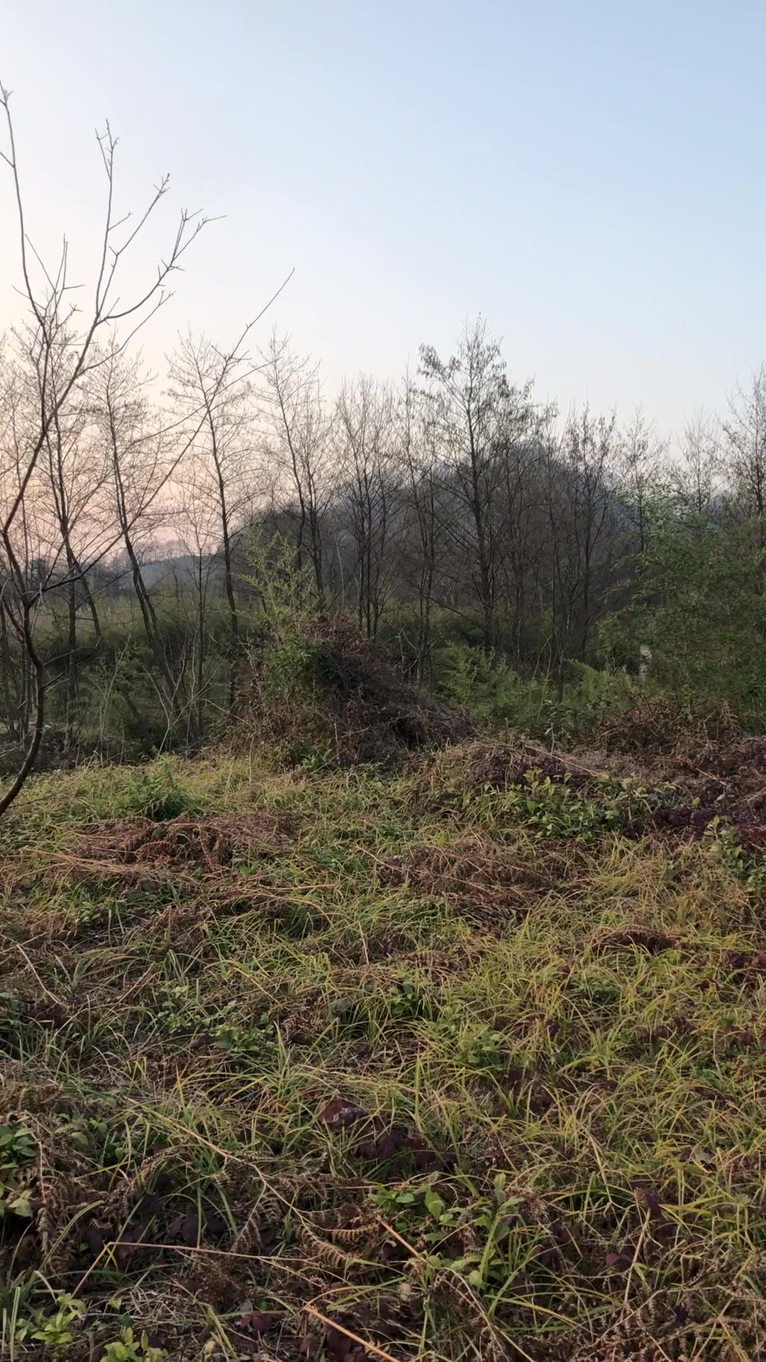 910 متر کنار تالاب سوستان خارج طرح در شیپور