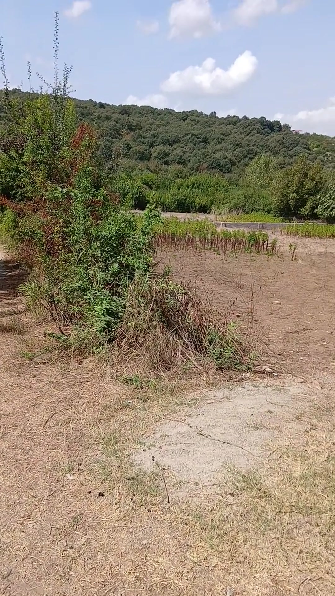 فروش زمین نزدیک بافت 600متردل طبیعت ساری قبل ورودی مرمت