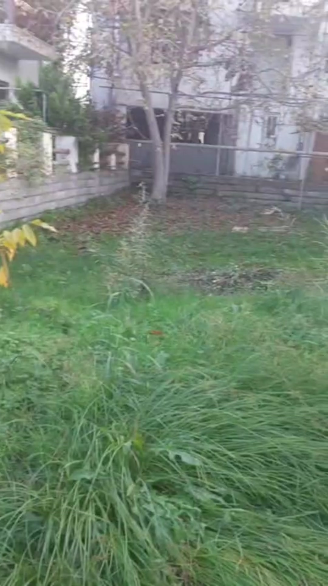 فروش 200 متر زمین در وازیوار/ کد 3 (سالار) در شیپور