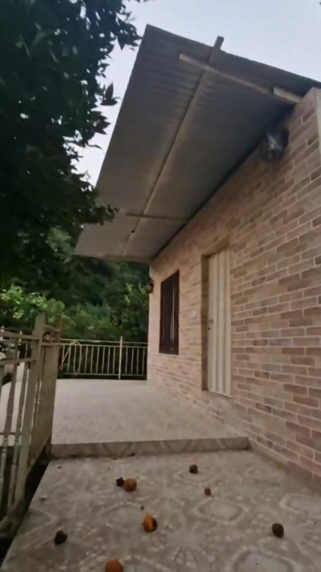 فروش ویلا 2100 متر در قادیکلا در شیپور