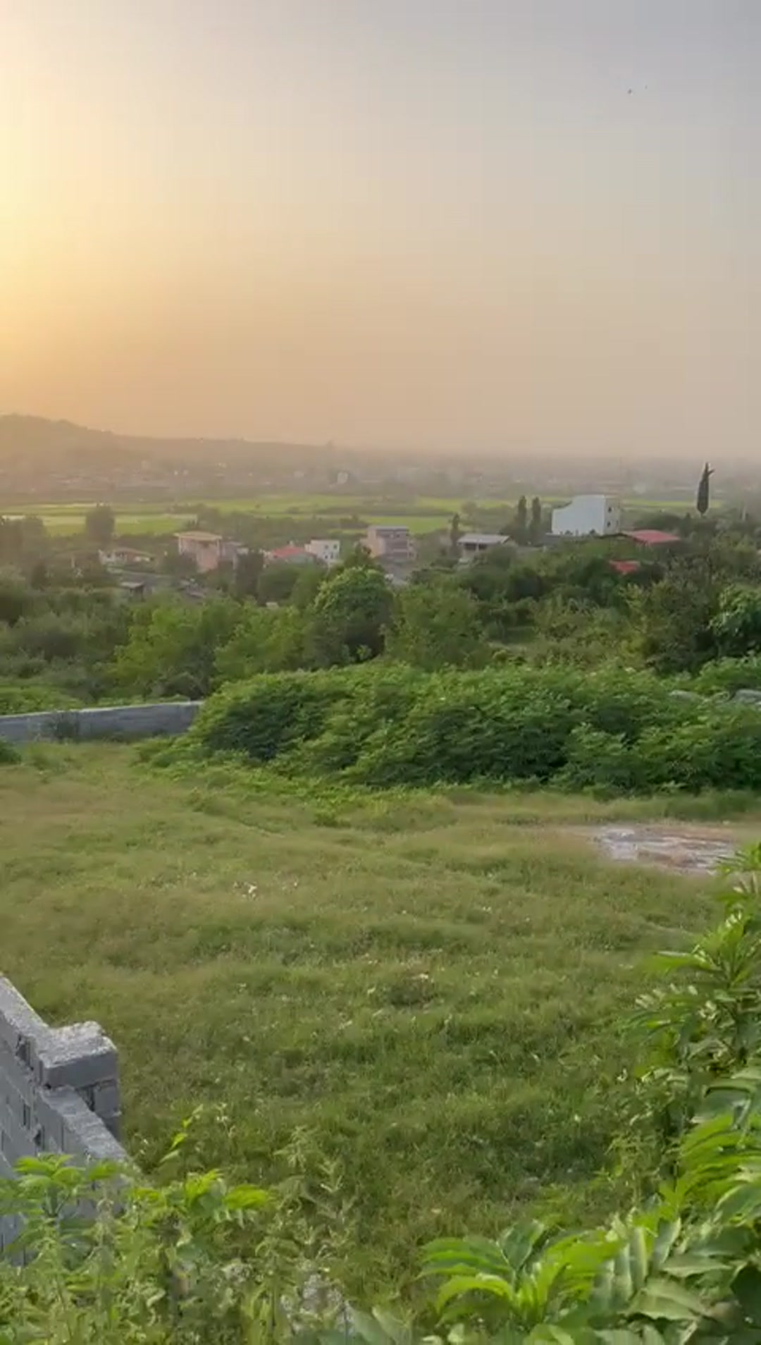 فروش زمین مسکونی 260 متر در شهرود کلا (بافت ) در شیپور