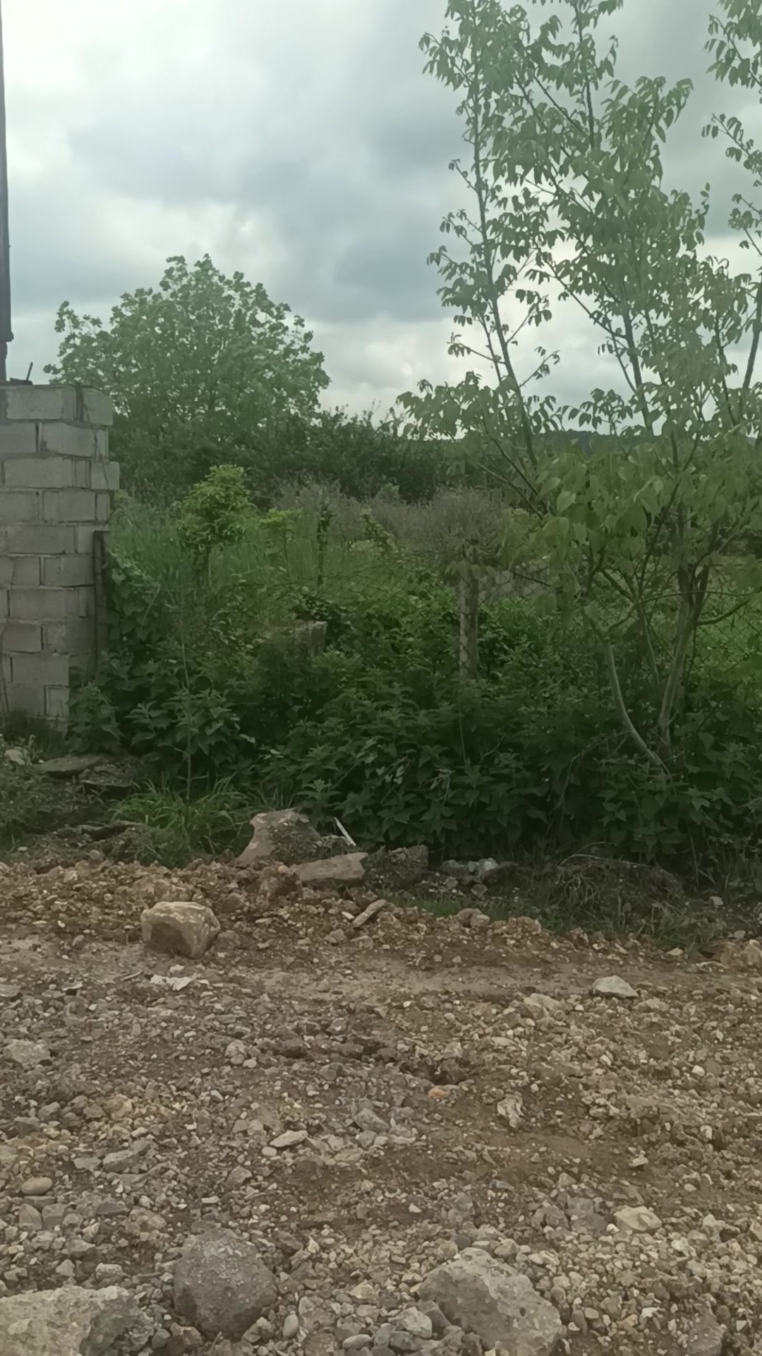 اجاره جهت دپو چوب، ماسه... کم بندی حنوبی