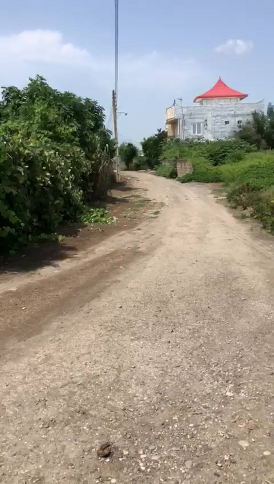 فروش زمین مسکونی 3000 متر در نجارکلا جدید