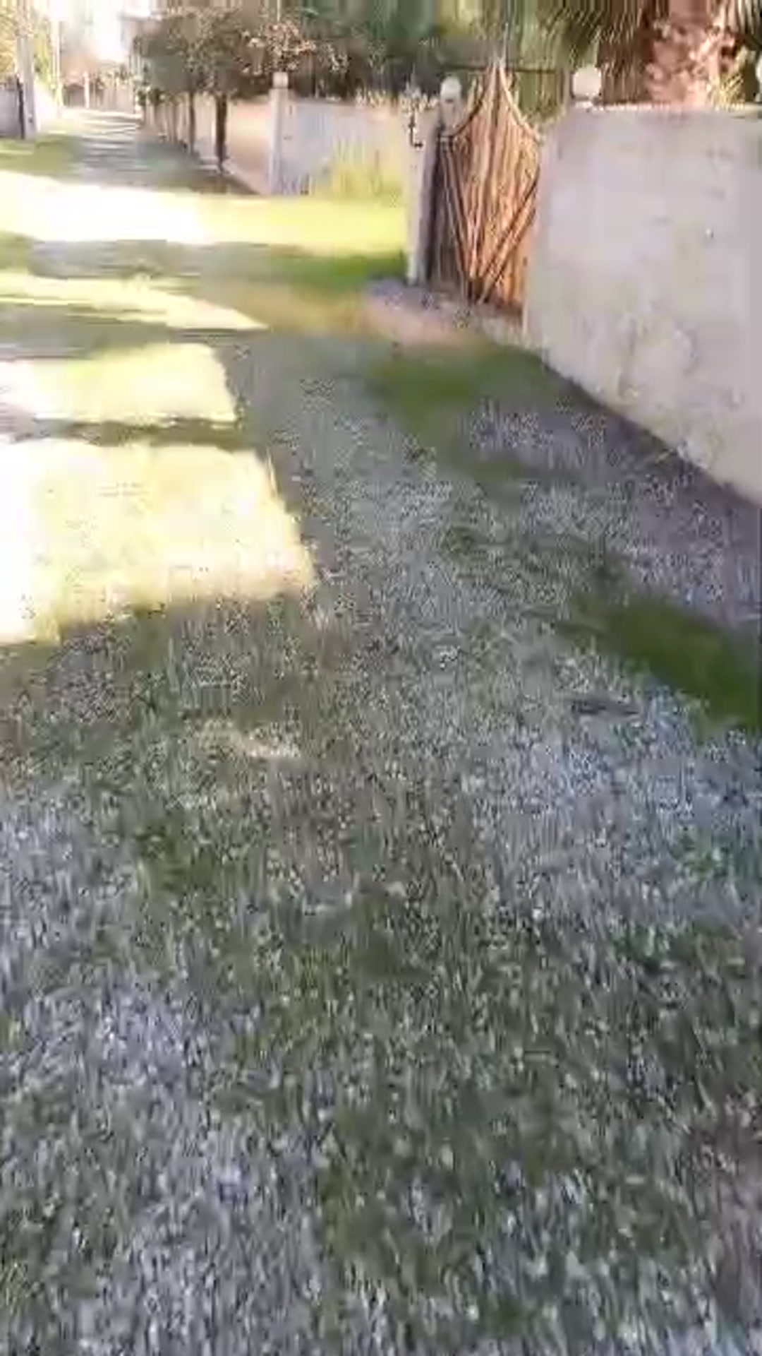 فروش ویلا 300 متر در الیمالات در شیپور