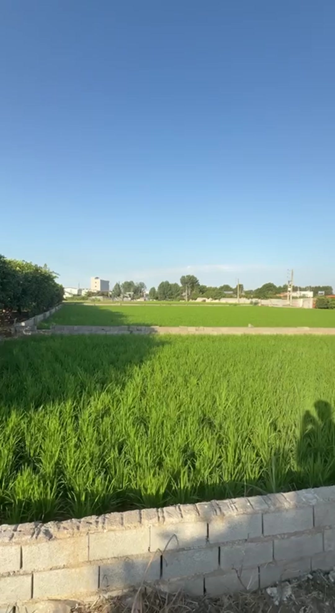 فروش زمین کشاورزی 4000 متر در مرکز شهر