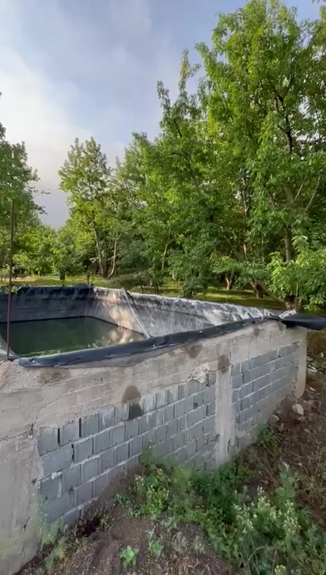 فروش زمین کشاورزی 12000 متر در بائیجان