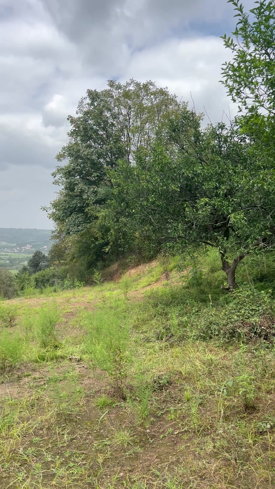 فروش زمین خارج بافت 350 متر مناسب کلبه در شیپور