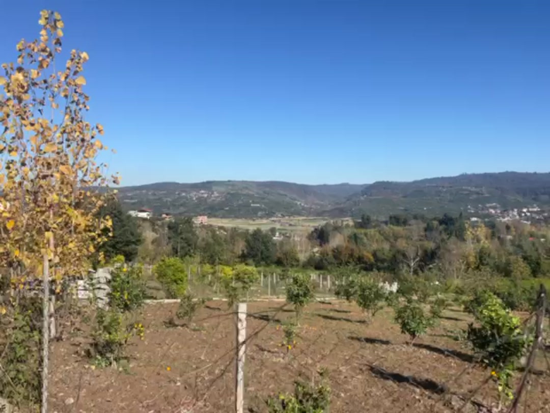 فروش زمین 1000 متر در راهبند در شیپور