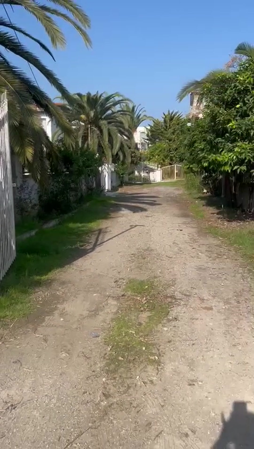 فروش زمین مسکونی 160 متر در علی آباد میر