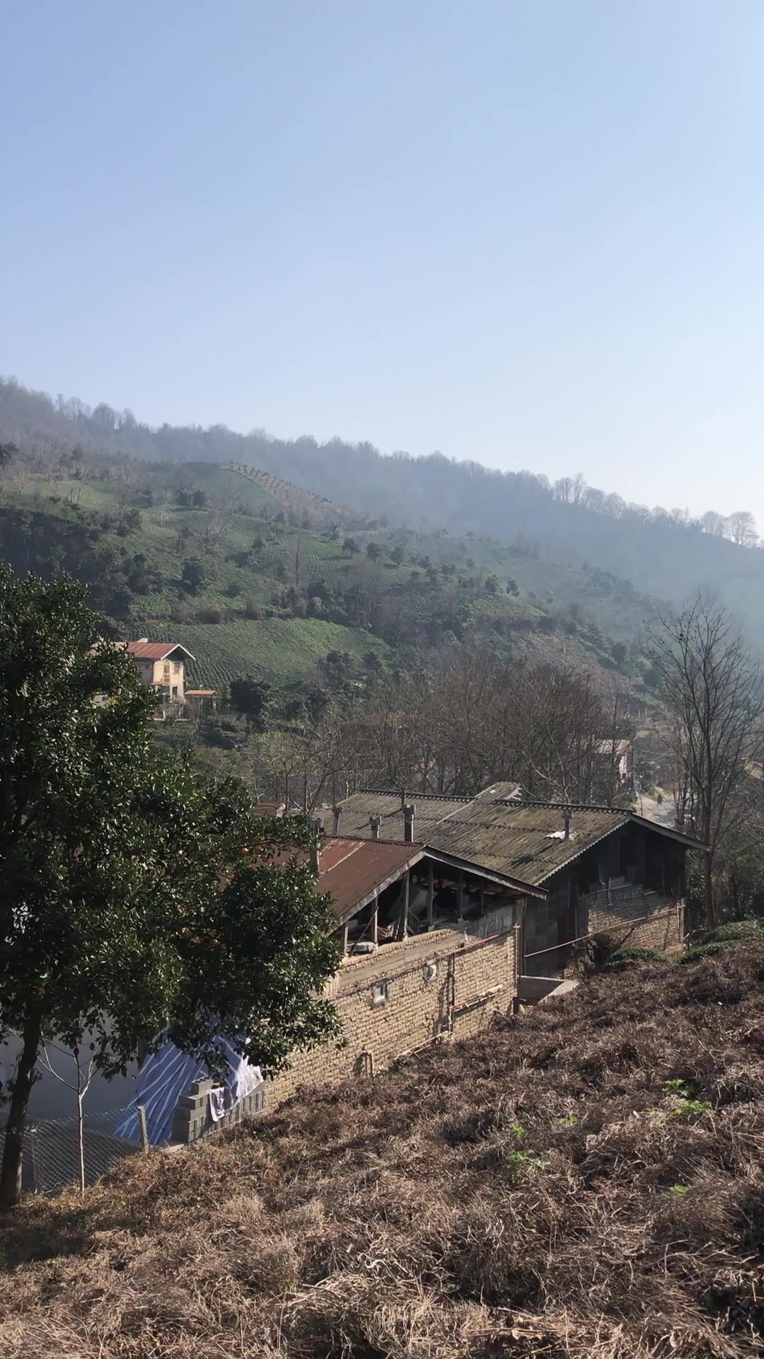 1600 متر زمین بکر در سرچشمه لاهیجان در شیپور