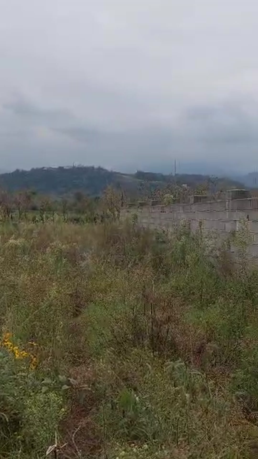 فروش زمین مسکونی 240 متر در چلاسر در شیپور