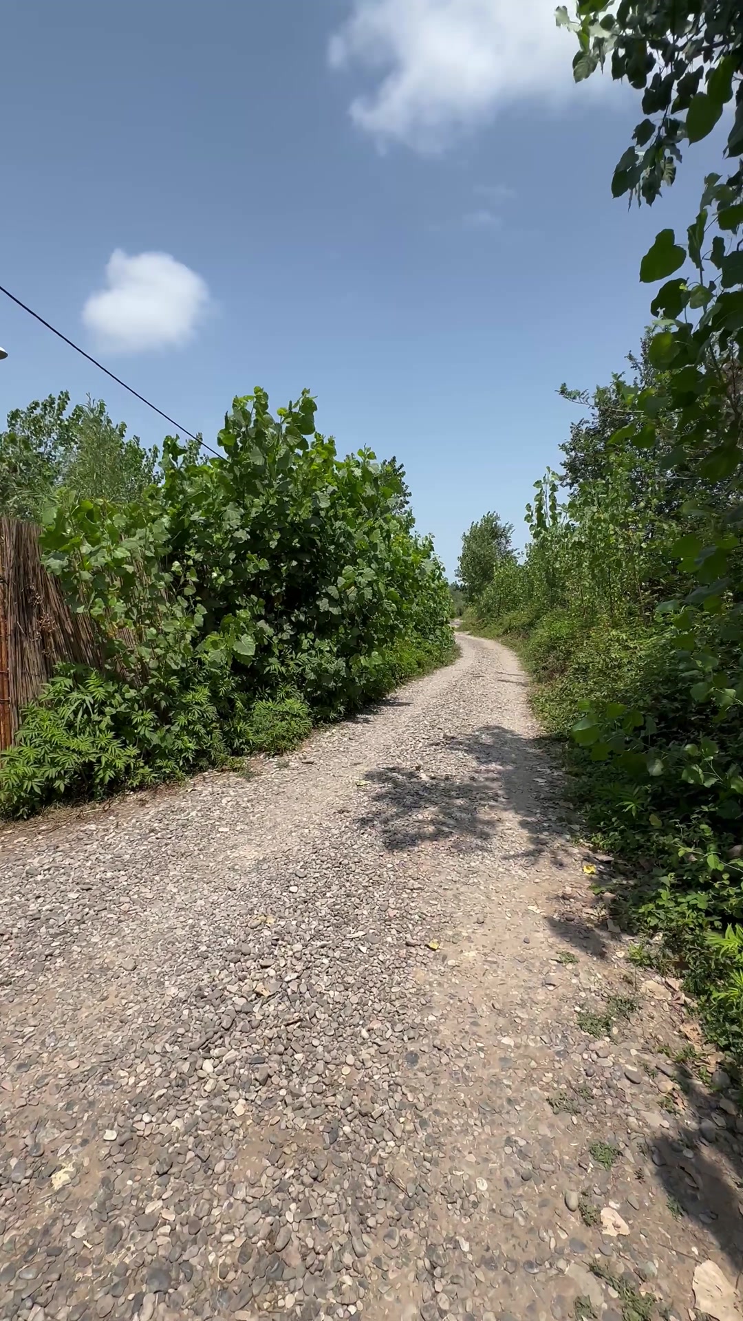 فروش زمین مسکونی 230 متر در روستای ماشک آستانه در شیپور
