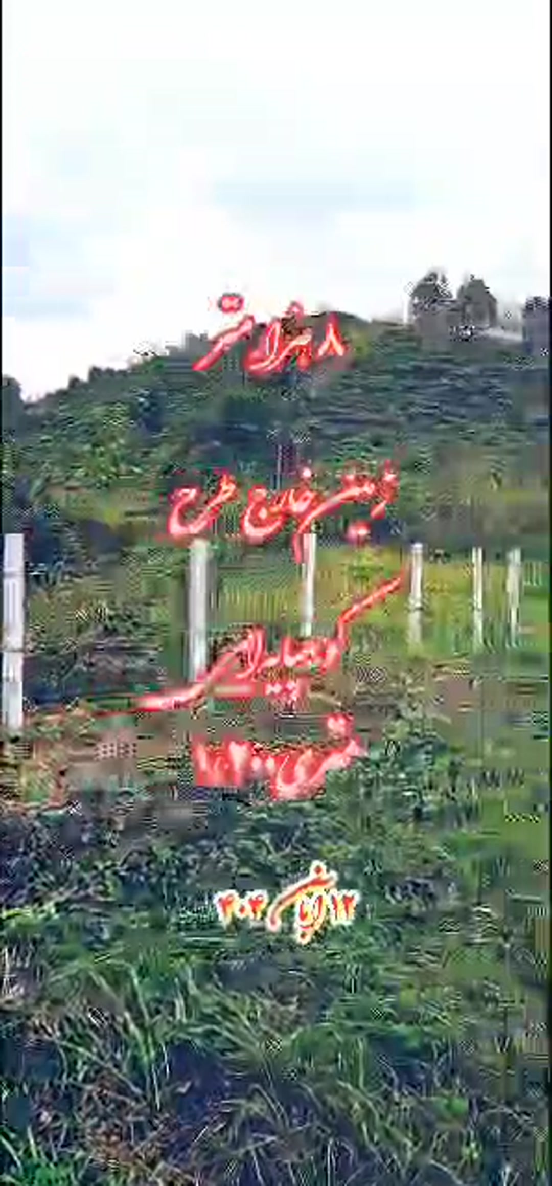 فروش زمین کشاورزی 8000 متر