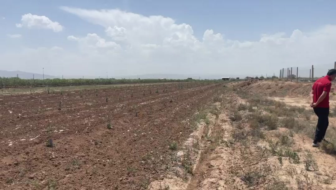 جهان آباد46000 مترباغ پسته بامجوز گلخانه در شیپور