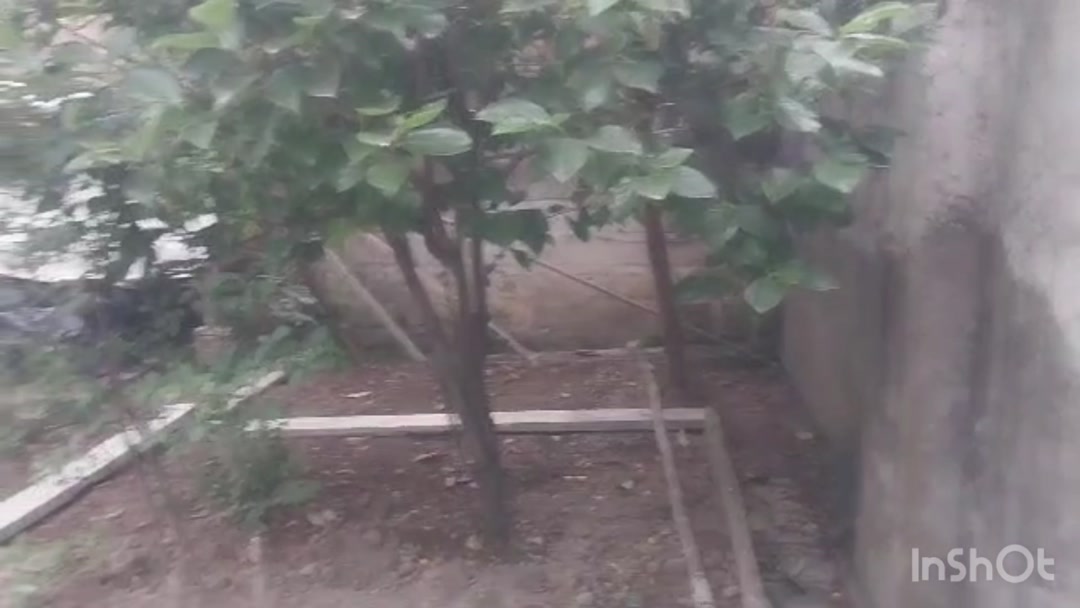 فروش زمین با بنا 247 متر در نوشهر در شیپور